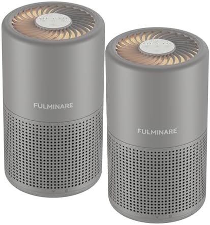 PU-P05 H13 HEPA Purifier 2-Pack, Gray